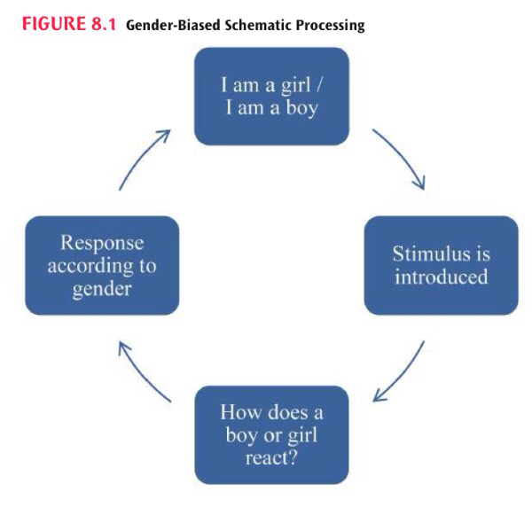 cognitive theory of gender role development